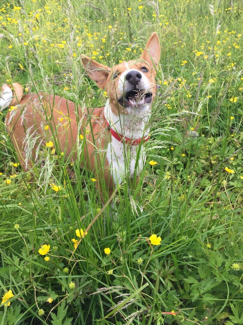 Чудесное было лето. Фото автора