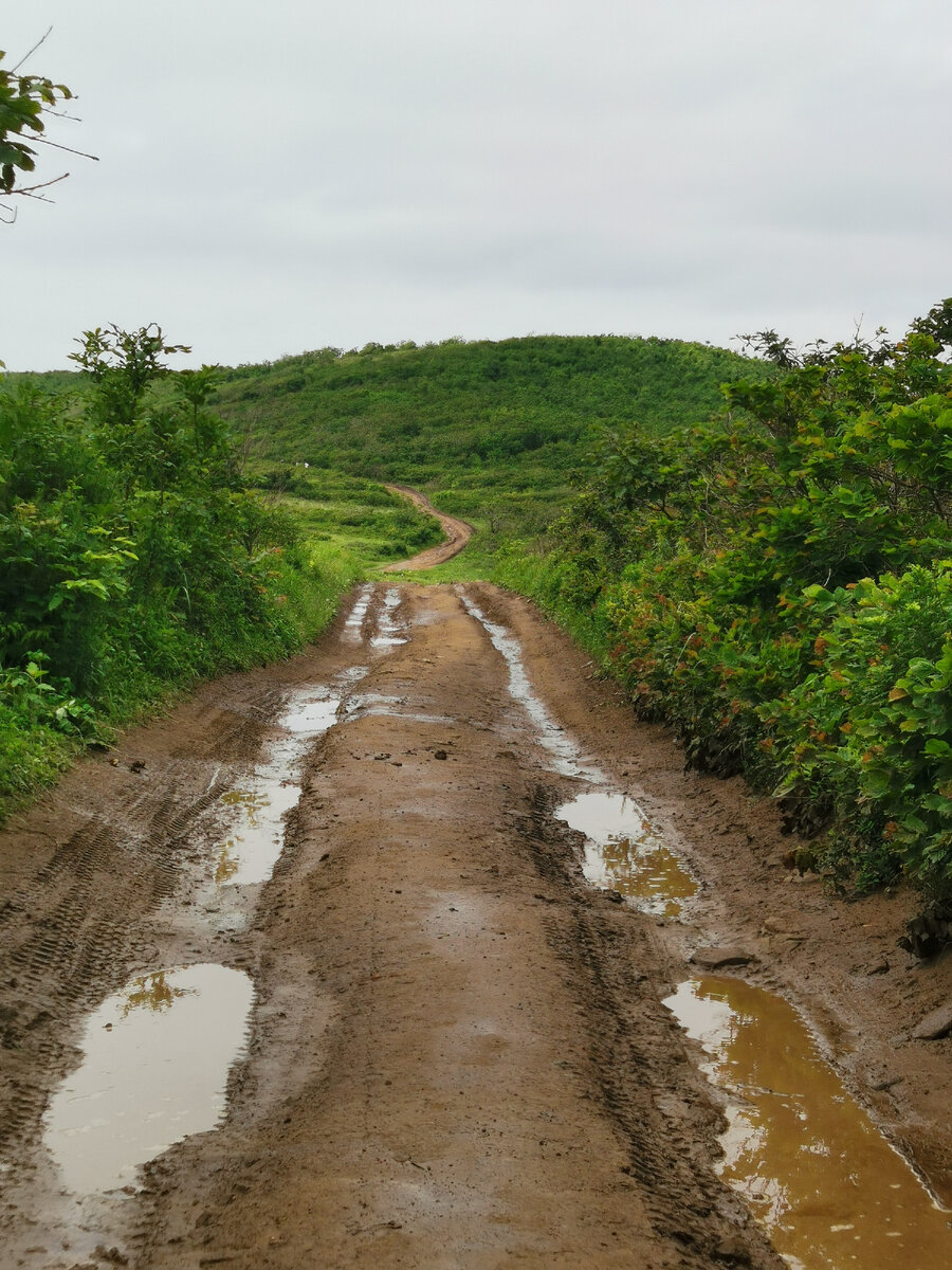 Дорога  сначала такая