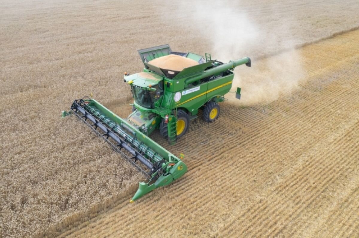    В Тверской области убирают пшеницу, рожь и тритикале