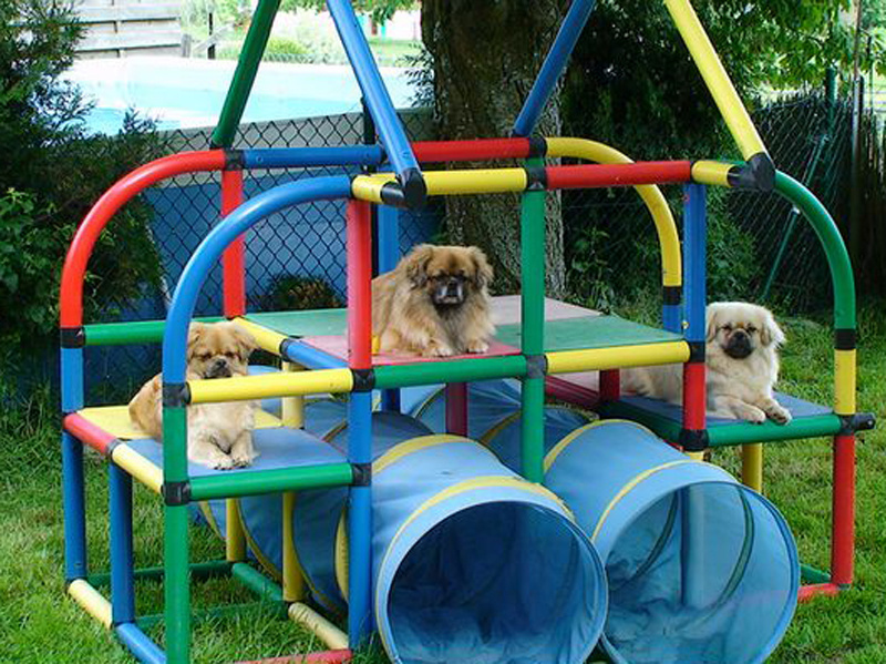 Фото из интернета