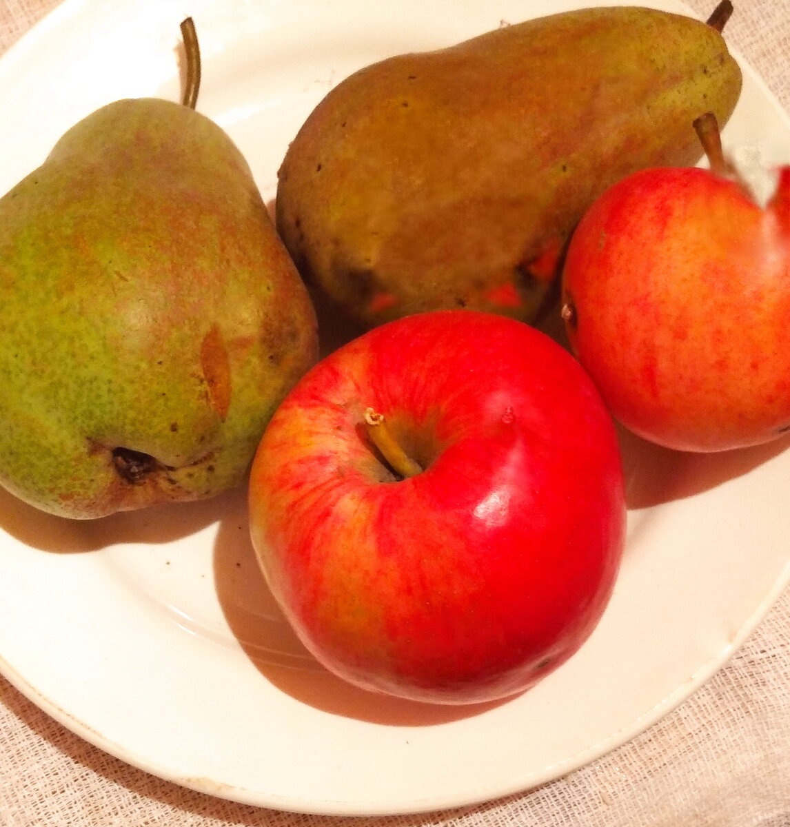 Личное  фото.