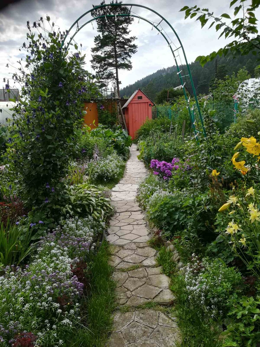 Дорожка к туалету