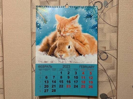     фото: МК в Туле