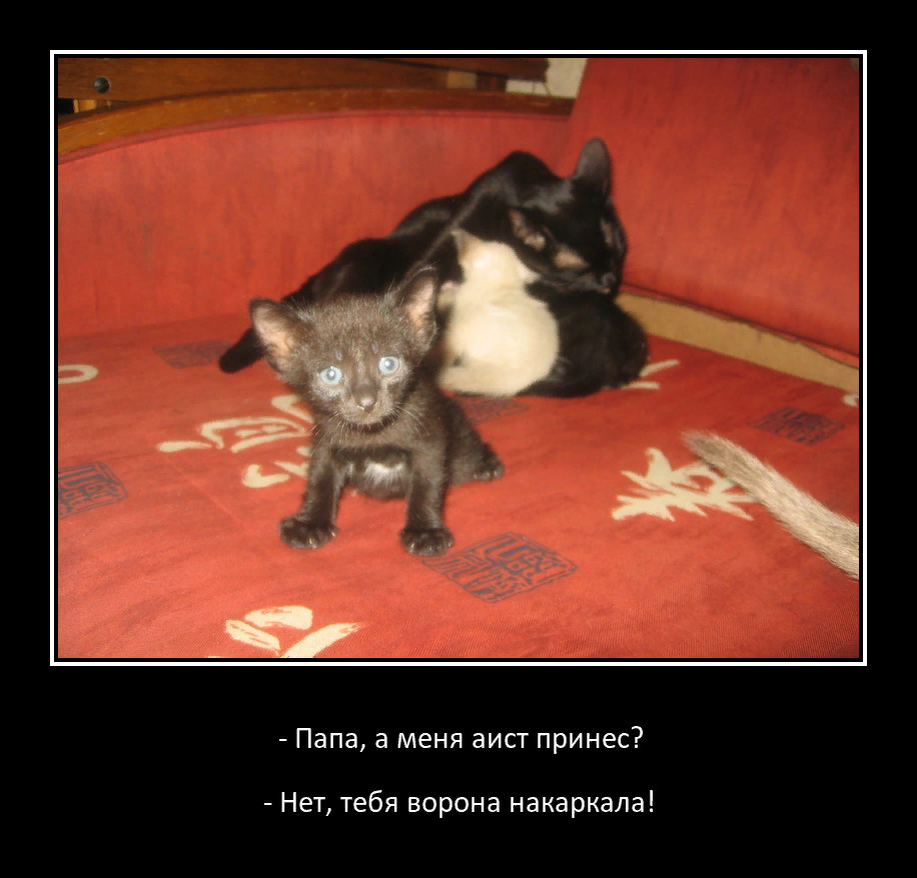 Сонина дочка