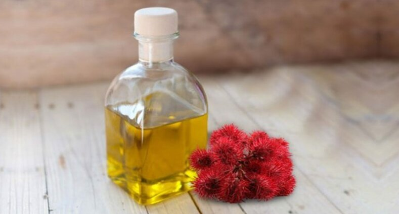 Цена: от 25 рублей