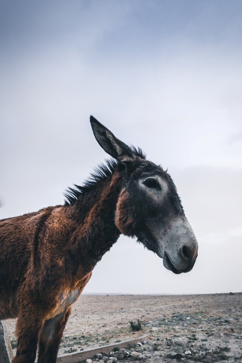 unsplash.com