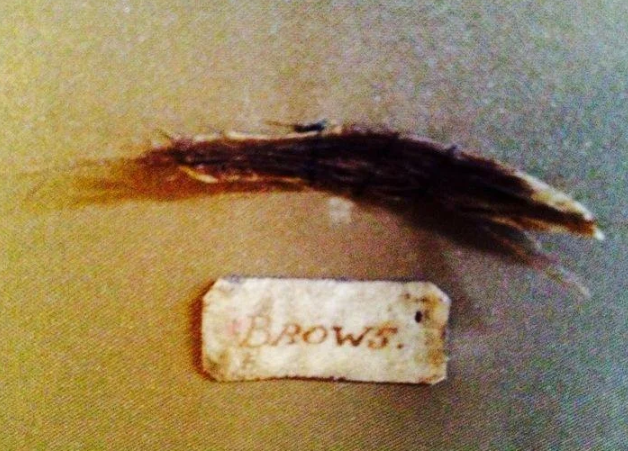 бровь из мышиной шкурки