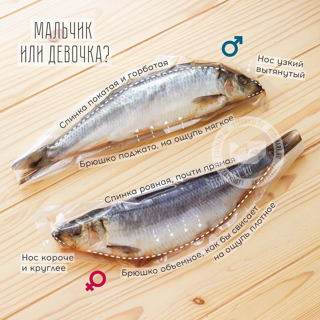 Морепродукты которые можно беременным и которые нет