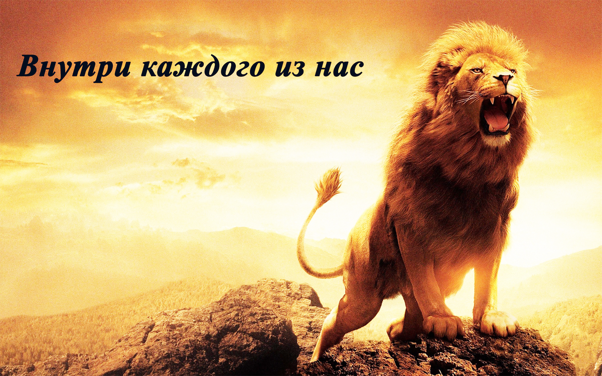 И я принял решение - пора брать ответственность за свою жизнь