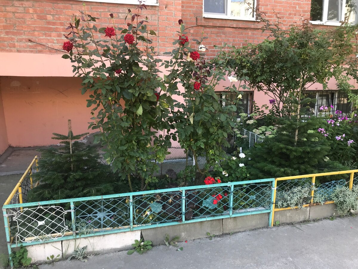 каждая оградка заботливо покрашена