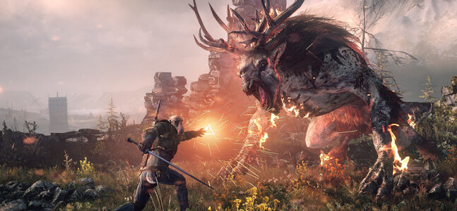 Скриншот из игры The Witcher 3.