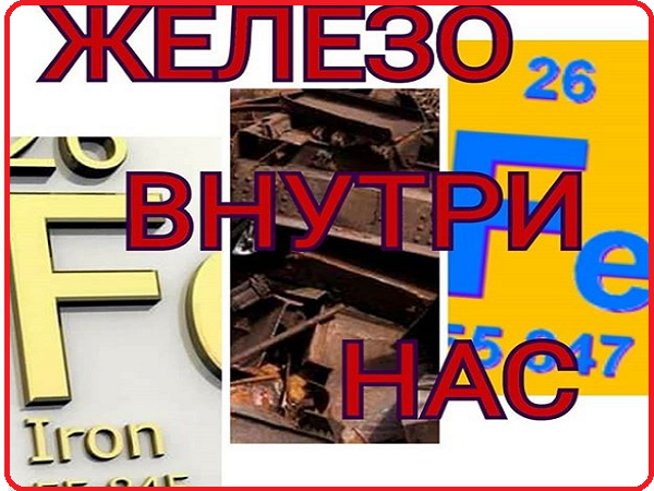 Железо в организме человека