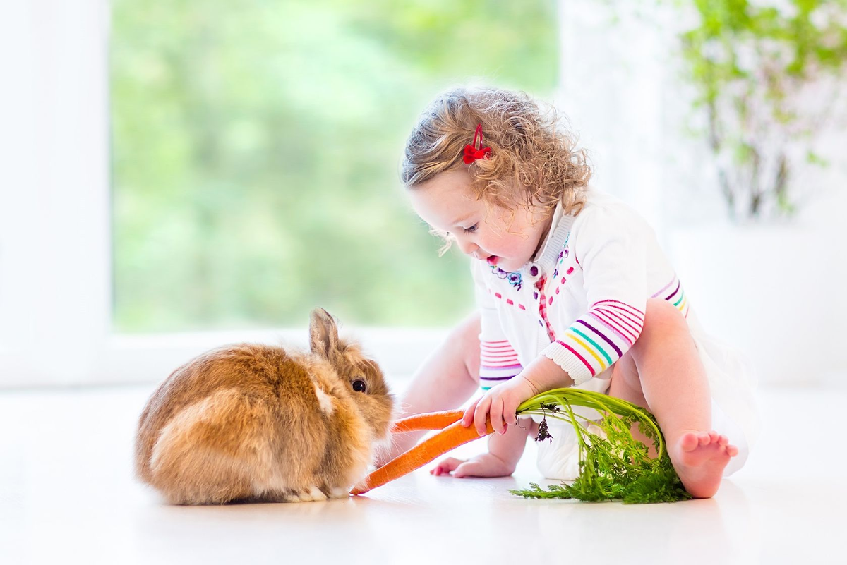 Забота о питомцах формирует ответственность (картинки яндекс)