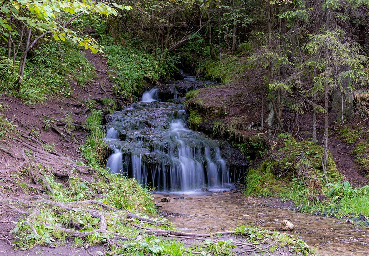 небольшой ручей. муромский лес родники речки. река ручей. прозрачный ручей. родник ручей.