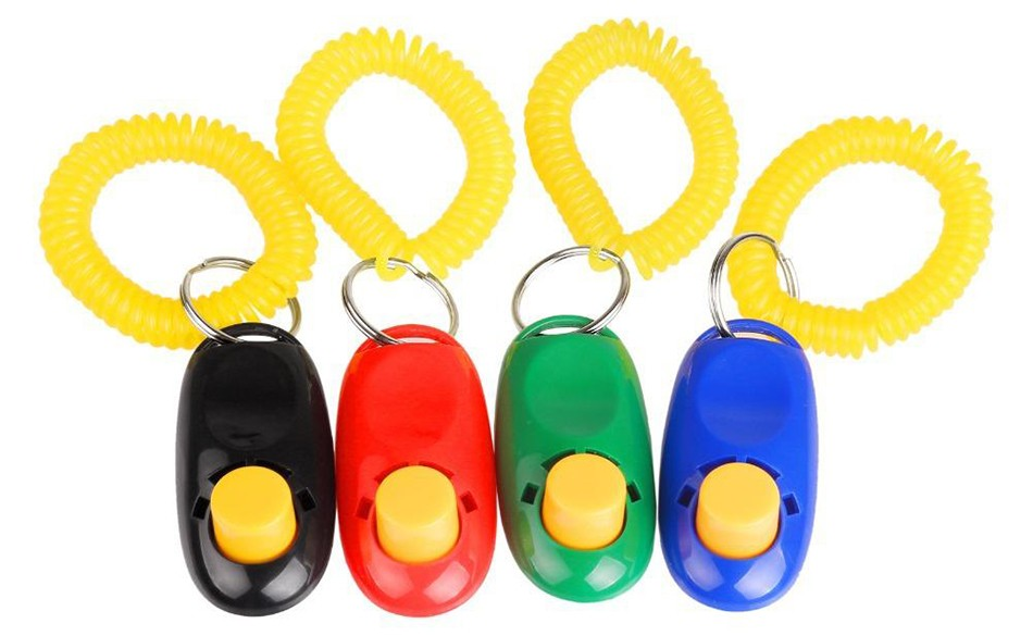 Кликеры. Картинка взята с https://zymbo.ru/image/data/ACCES/kliker-dlja-dressirovki-sobak/zymbo.ru_kliker-dlja-dressirovki-sobak_1.jpg