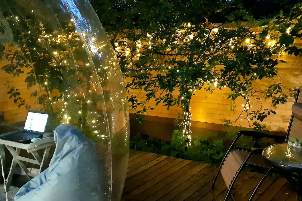 Николо-ленивец глэмпинг. Бабл отель питер. Домик в стеклянном шаре. Бабл дача. Бабл дача спб парголово.