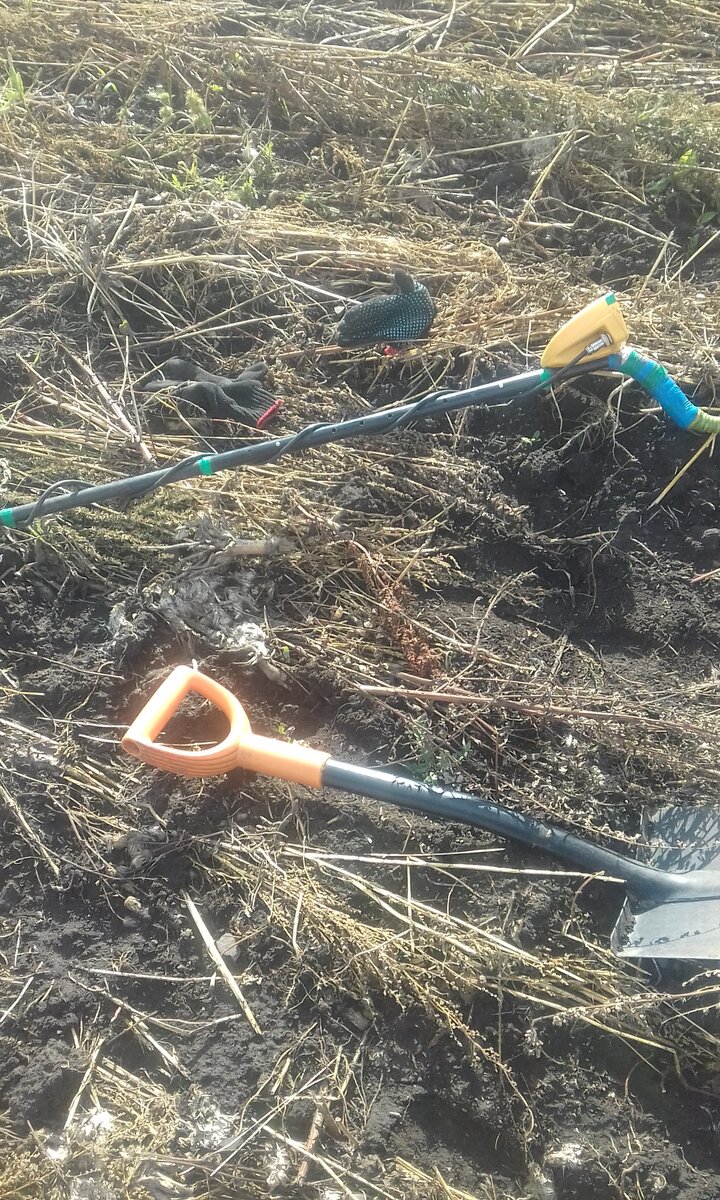 личное фото