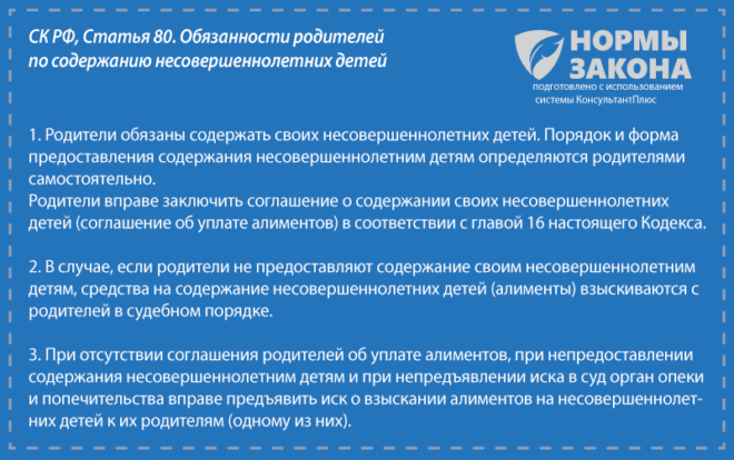 Сроки выплаты алиментов на ребенка в соответствии с законодательством России