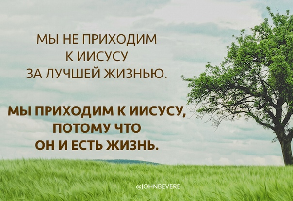 Картинка взята из общего и свободного доступа в интернет