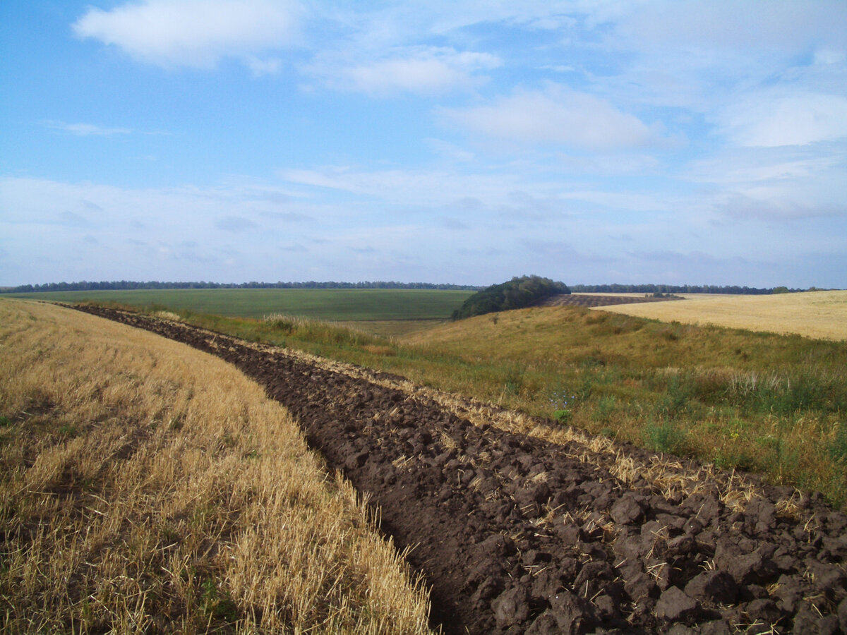 Начало пахоты – подготовки поля к посеву нового урожая в пределах Плавского радиоактивного пятна. Фото: Татьяна Парамонова
