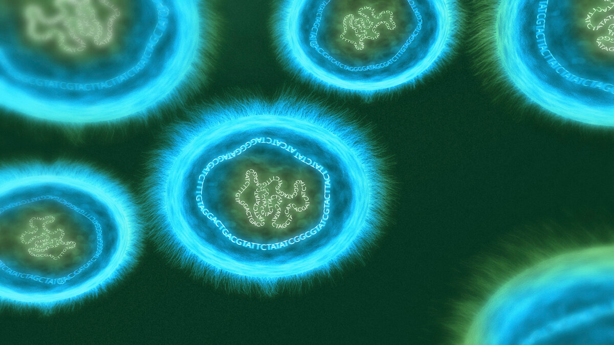 Кольцевая хромосома бактерии. Плазмиды бактерий микроскоп. Плазмиды бактериальной клетки. Плазмида ДНК. Плазмиды строение клетки бактерии.