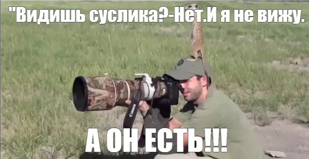 Яндекс. Фото