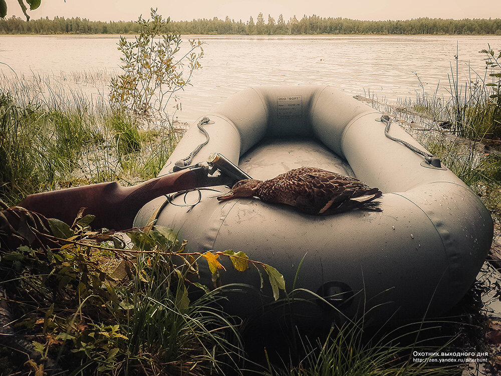 Вечёрка на лесном озере.