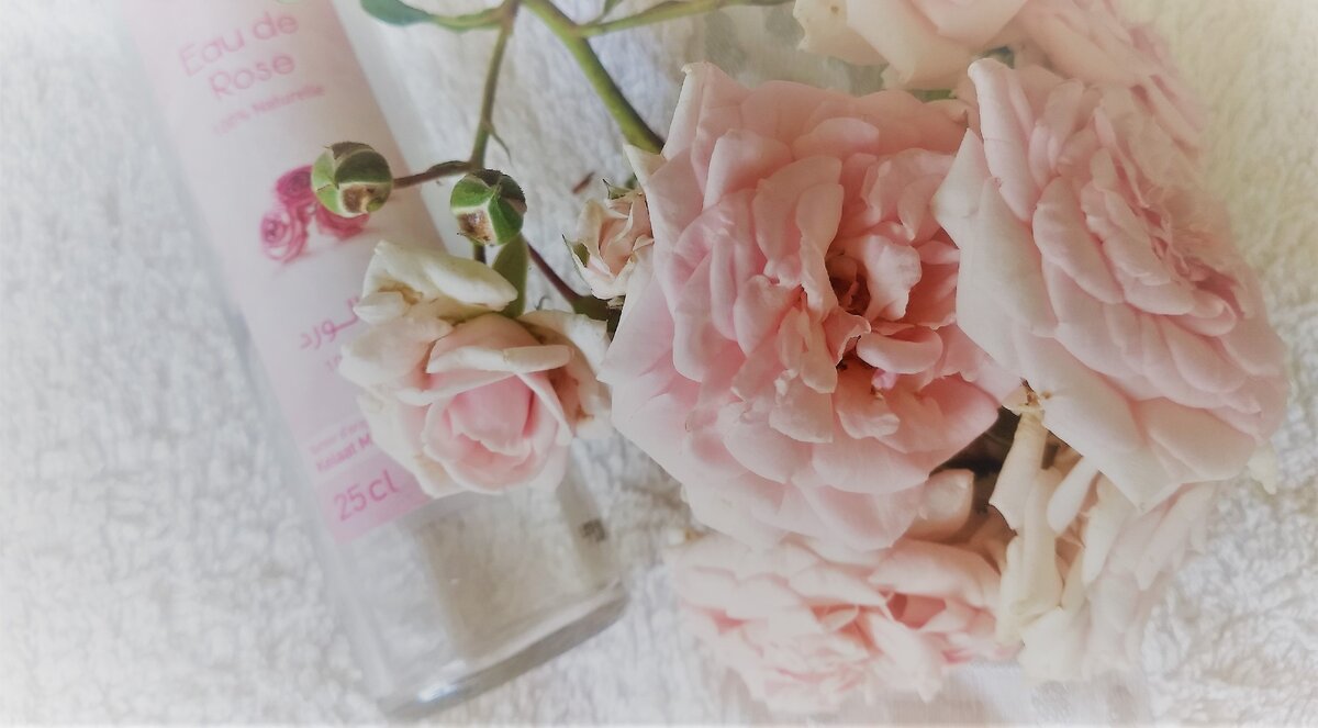 Розовая вода - прекрасное средство для ухода за кожей 