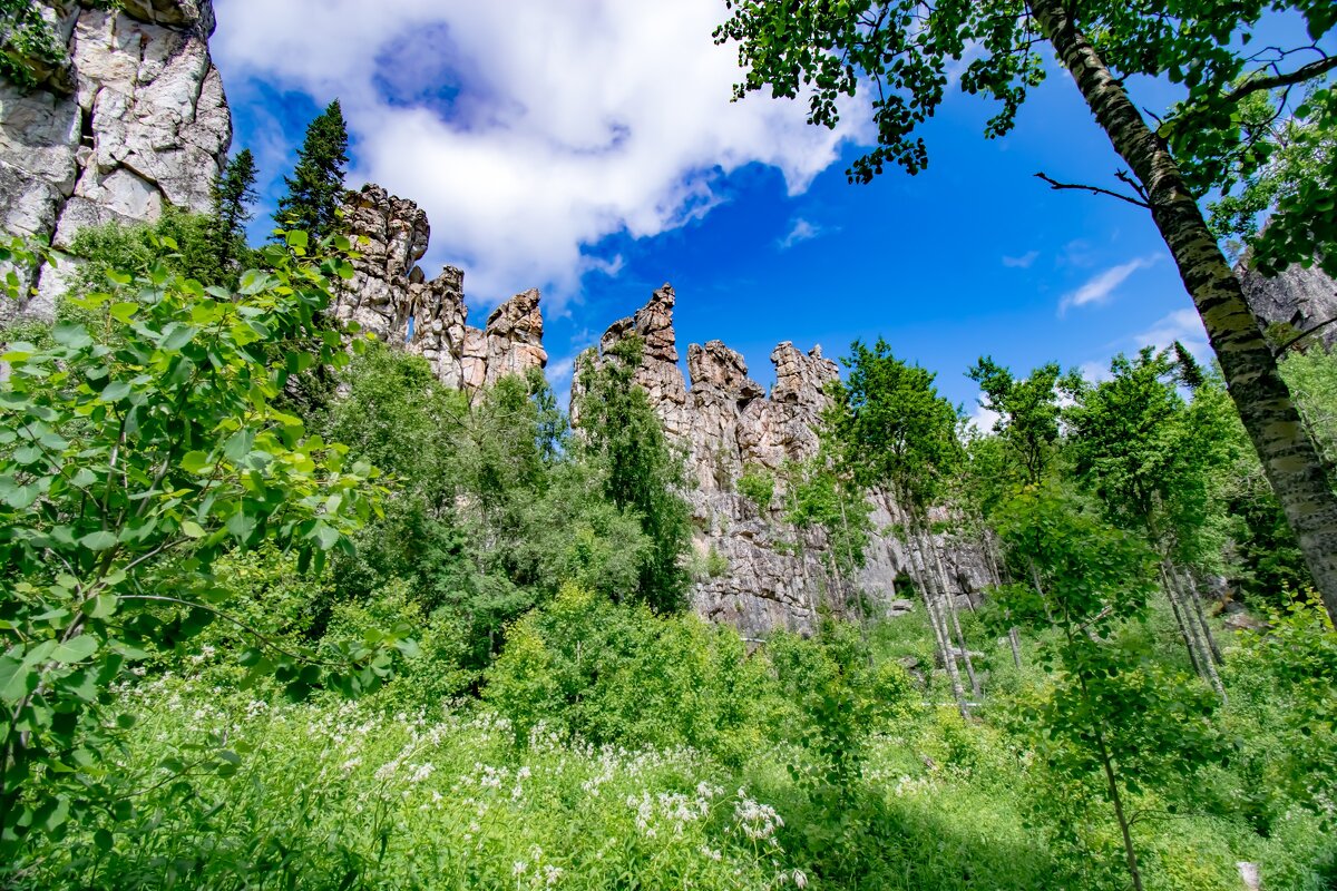 Инзерские зубчатки 