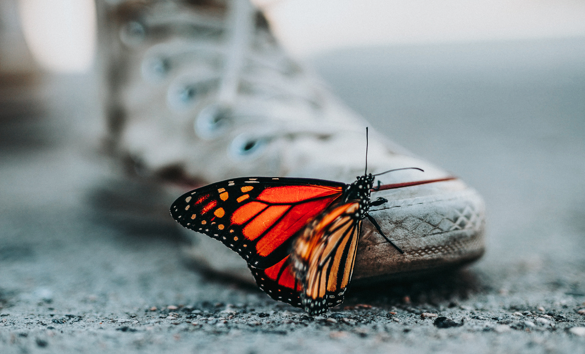 Источник изображения: Unsplash, фотограф Nathan Dumlao в авторской обработке.