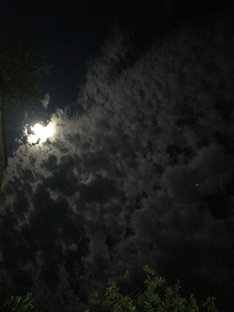 Ночное бескрайнее небо