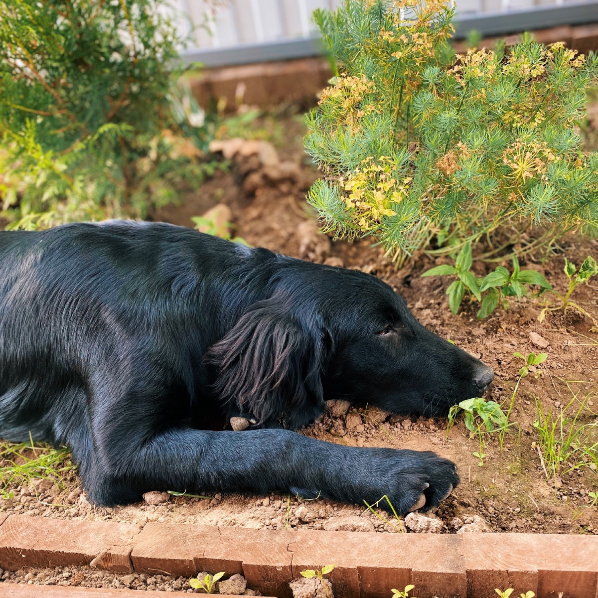 Психолог Миляуша Рахимова 