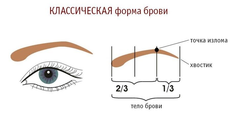 Какая форма бровей мне подойдет?