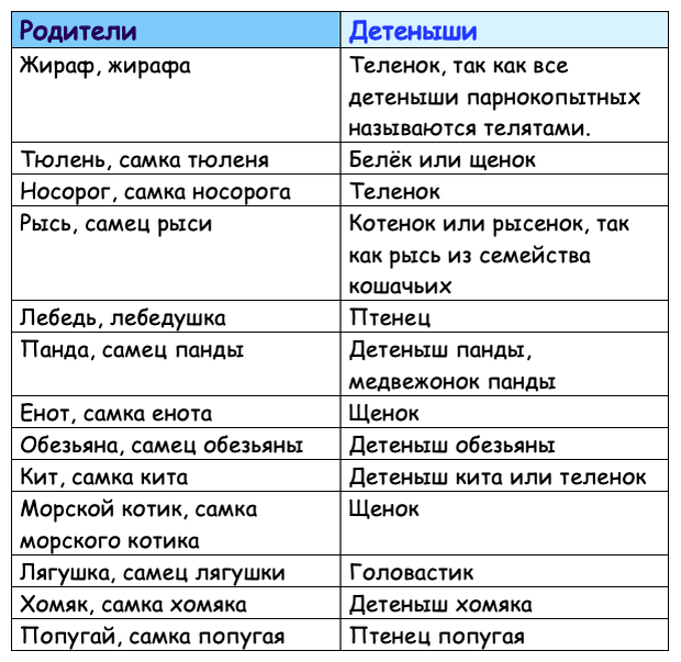 Развитие лягушки от икры до особи в неестественной среде обитания при разных внешних условиях