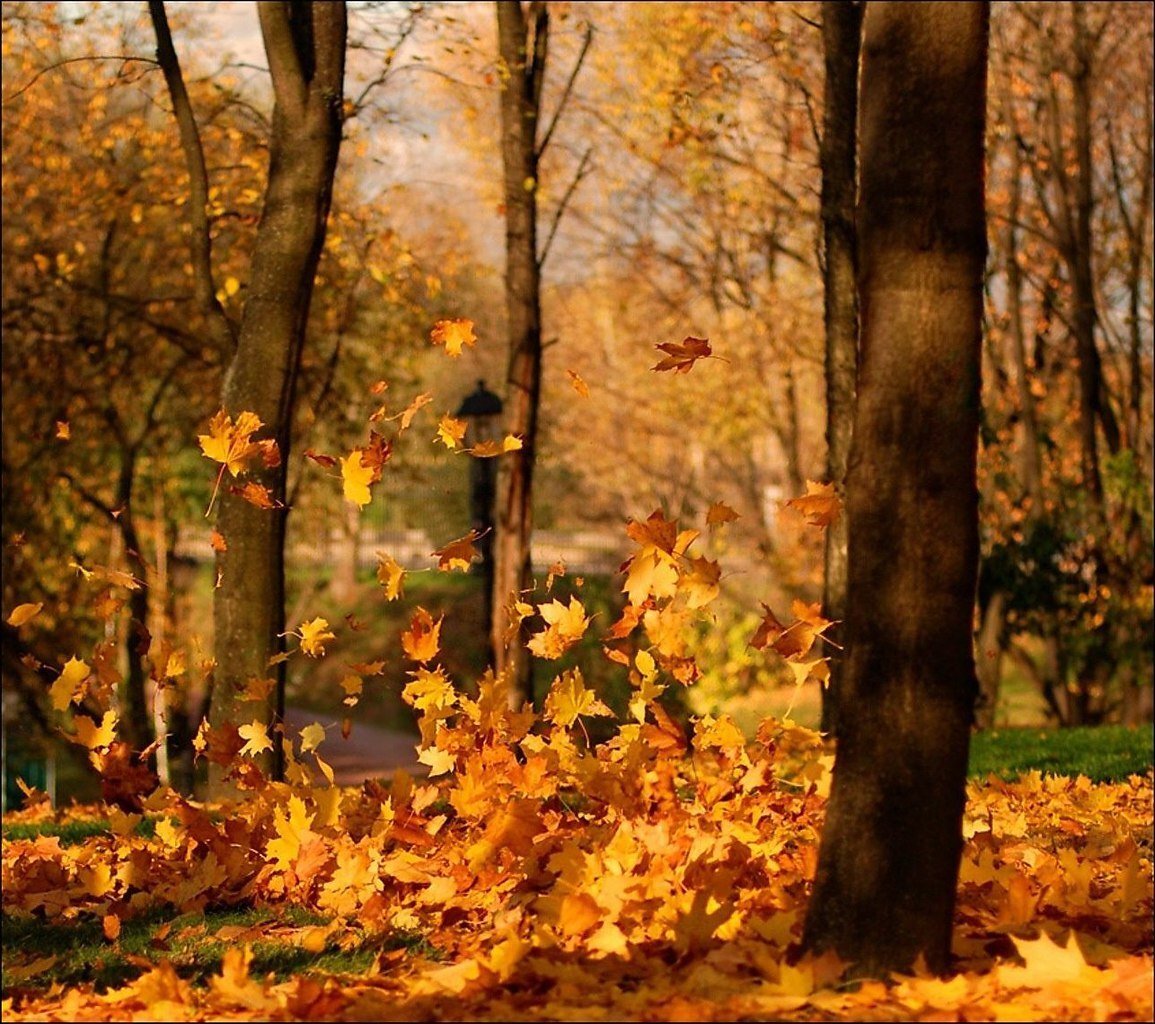 Изображение из открытых источников 