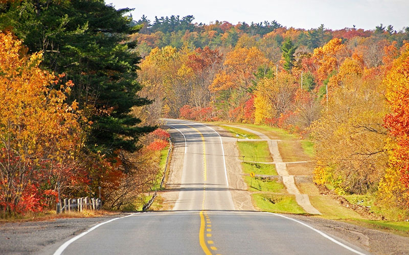 И пообщаться, и отдохнуть можно и по пути. Главное, выбрать дорогу ФОТО: oir.mobi