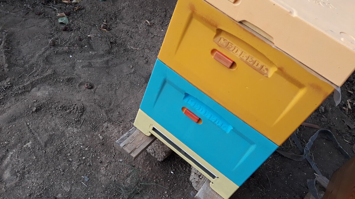 Улей ППУ