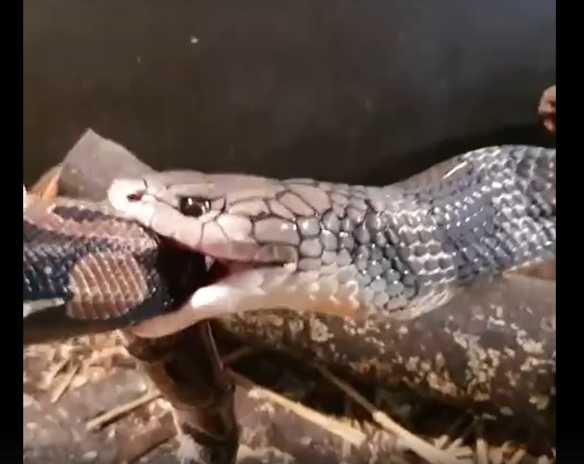 Подписывайтесь на канал, ставьте лайки, тем самым вы поможете его развитию! с меня конечно же самый полезный и качественный контент!