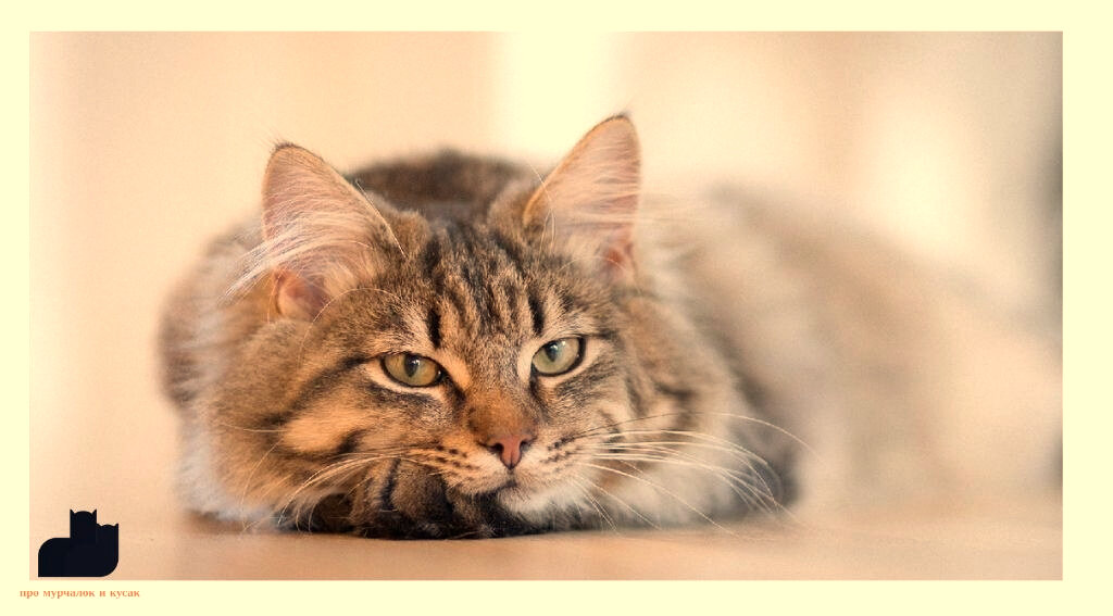 Знаю себе цену