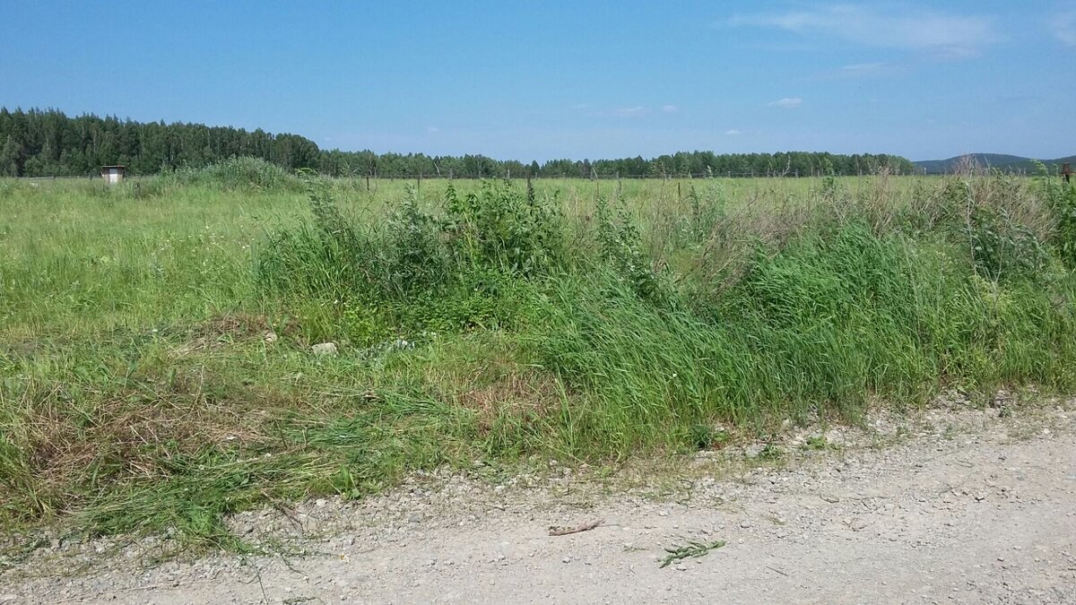 Наш участок в 2015 году