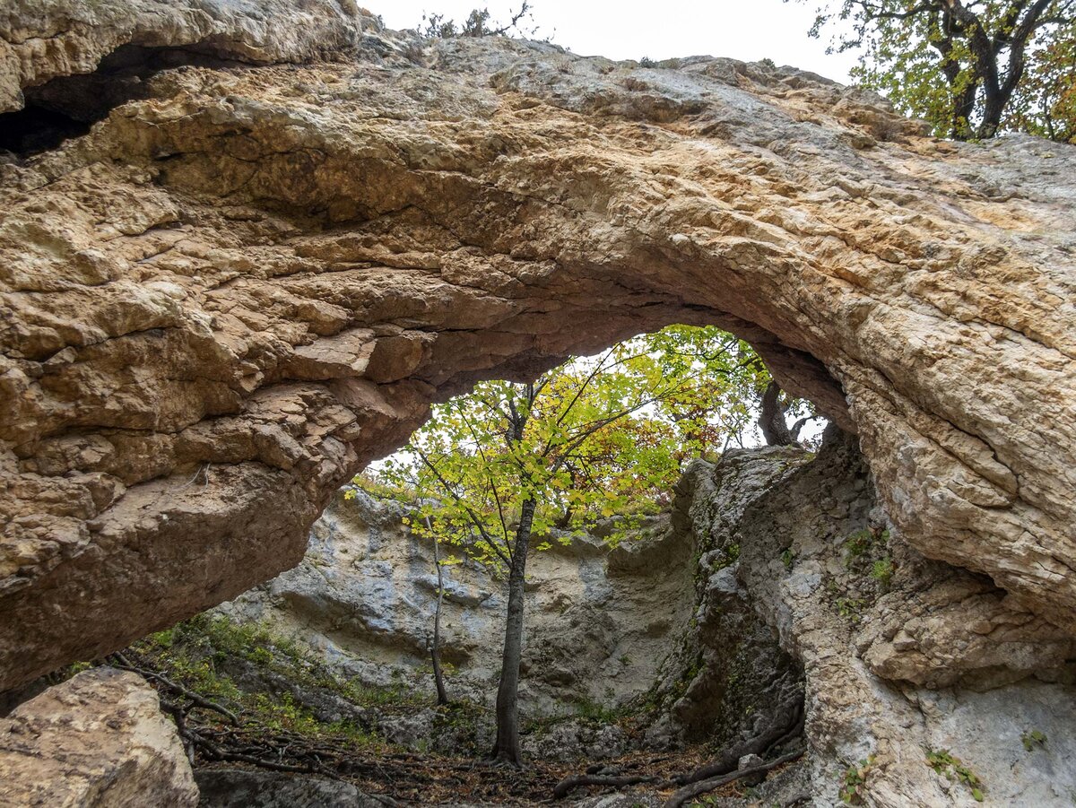 Здесь и далее в статье - фото автора. 