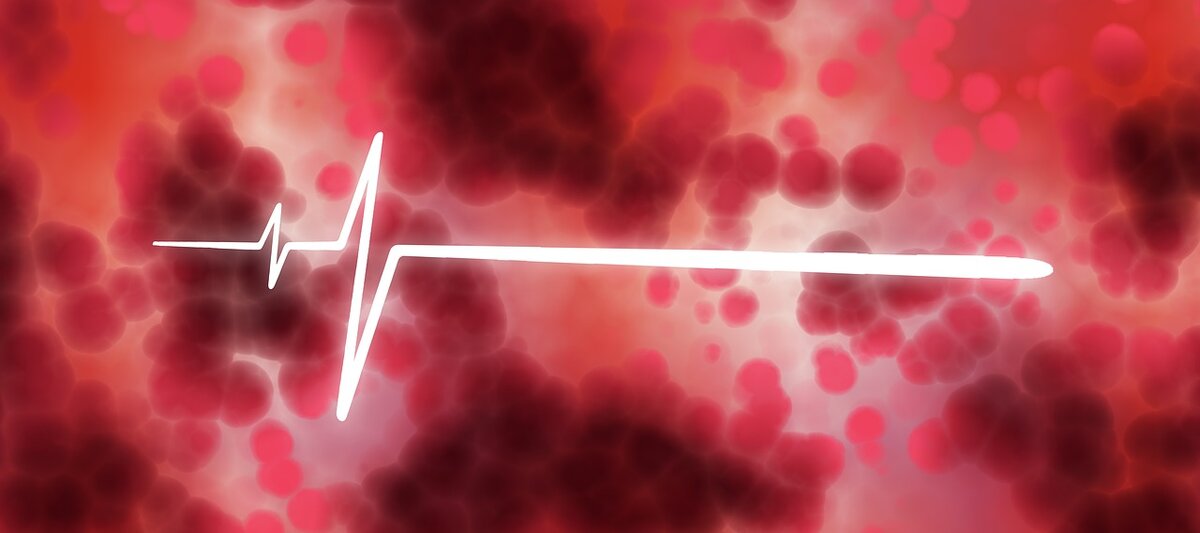 Донор-это Человек с большой буквы.