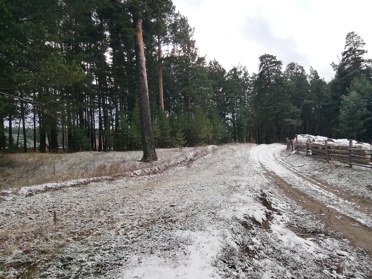 Припорошило. 