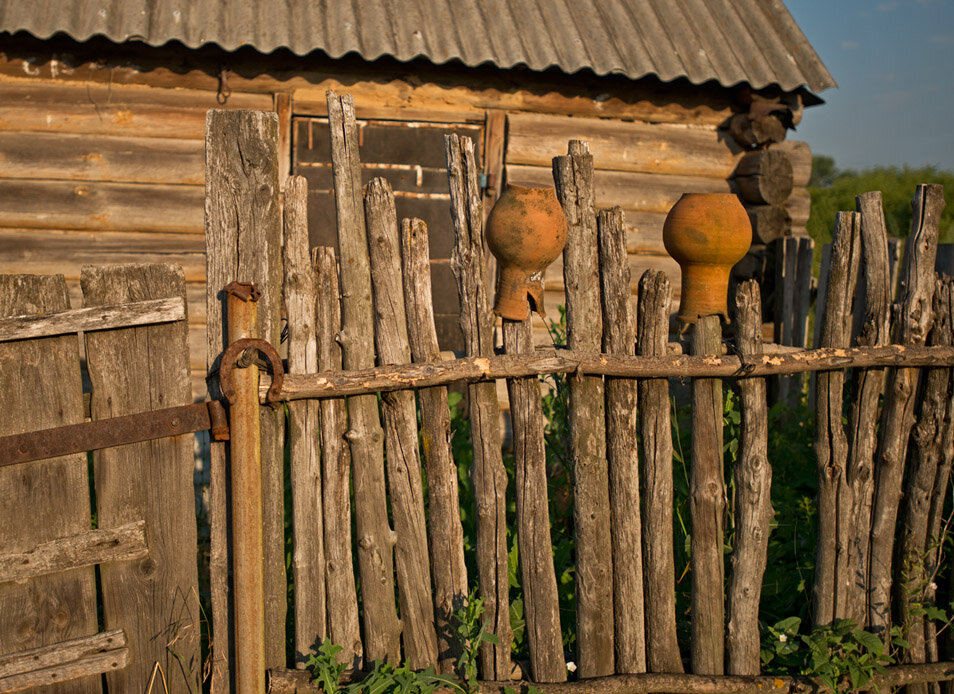 Картинка казачий плетень