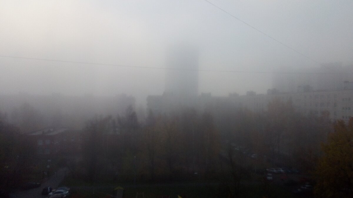 Немного тумана в ленту дзен. Лена Ласточкина