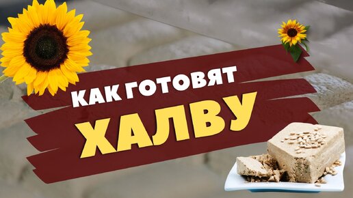 Русское порно видео халява ▶️ Лучшие xxx ролики