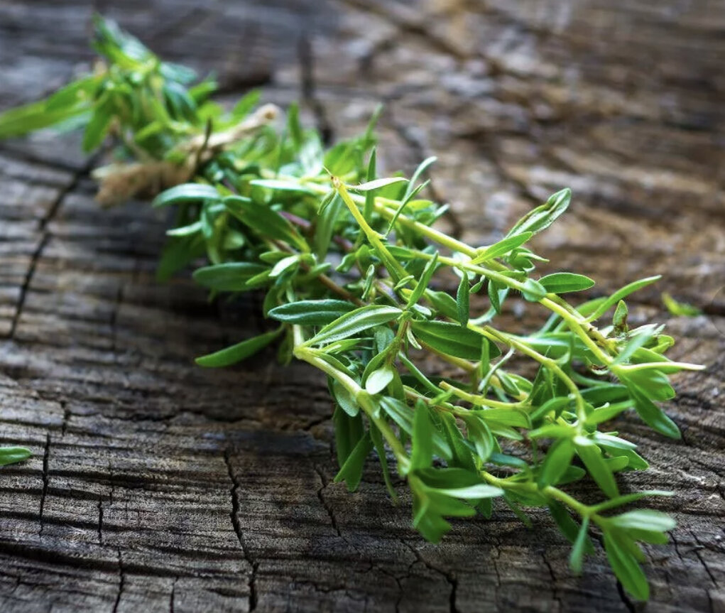 Тимьян(чабер)