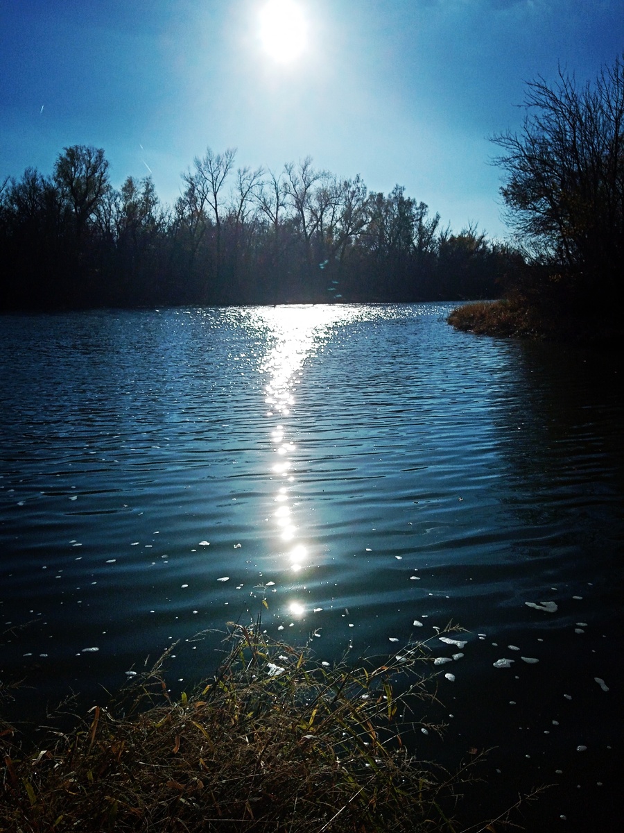 Ведь это красота природы и за частую мы не замечаем её, а красота ведь мелочах. Это река называется Аксай. Фото было сделано в начале ноября 2020 года. На фото можно заметить пену, которая назодится возле берега, это говорит о том, что вода ещё цветёт. Здесь незаметно, но вода болотного зеленого цвета. 