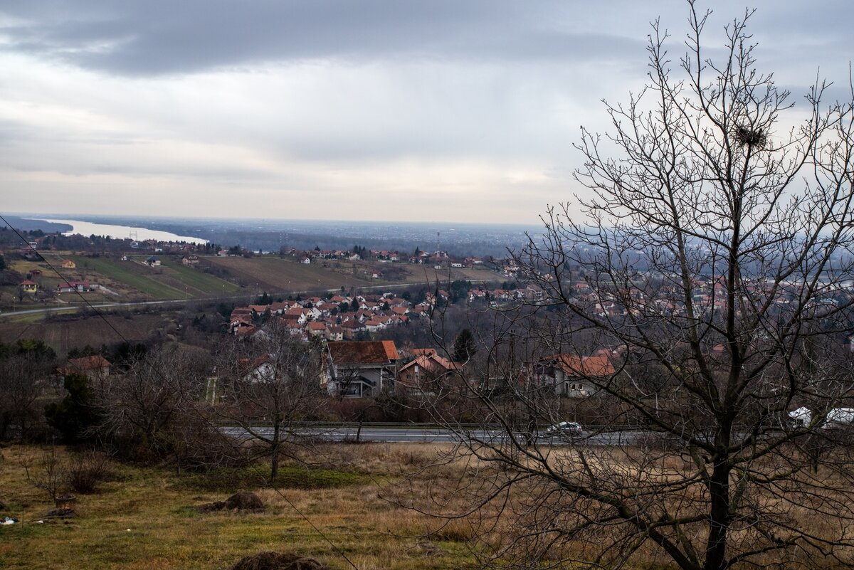 Сремска Каменица, на заднем плане река Дунай. А еще - гнездо