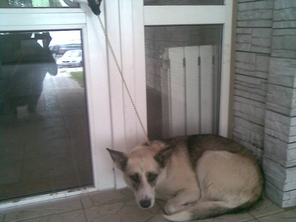 Загружено из Яндекс Картинки